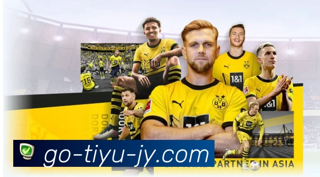 体育赛事直播与数据服务平台